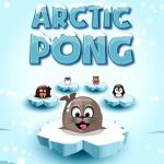 Arctic Pong