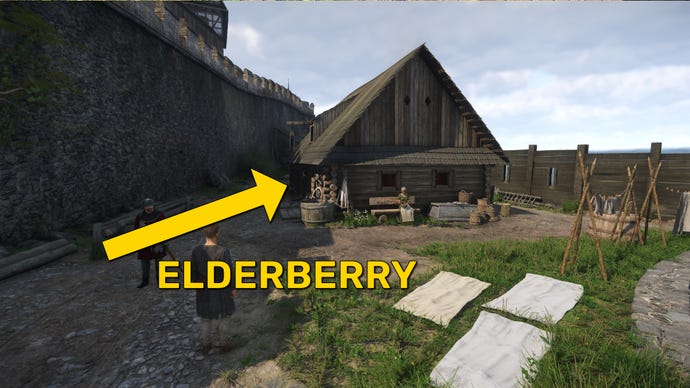 The player in Kingdom Come: Deliverance 2 walks towards the Carpenter's house in Trosky Castle. A yellow arrow marked "Elderberry" points towards the house entrance.