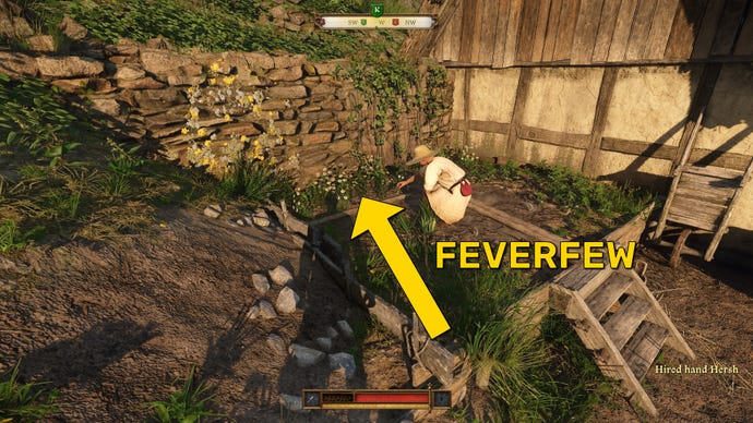 The player in Kingdom Come: Deliverance 2 walks towards a bed of planted Feverfew behind a barn in Trosky Castle.