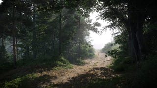 An establishing shot of a forest path at daytime in Kingdom Come: Deliverance 2.